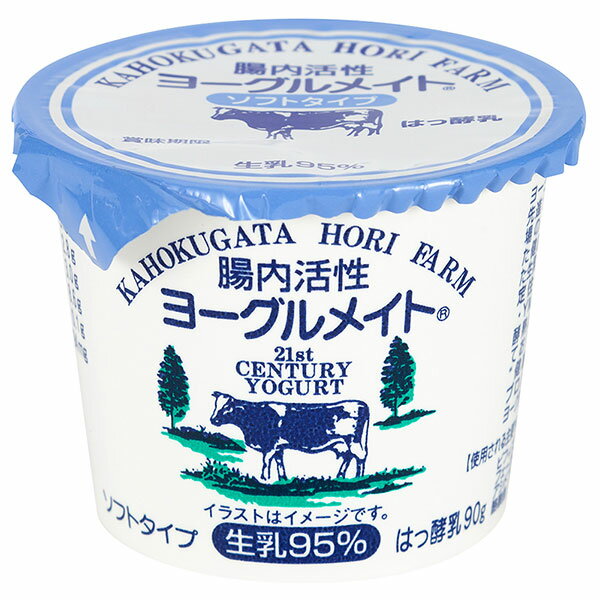 ≪ホリ乳業≫腸内活性ヨーグルメイト ソフト90g 10個入【酪酸菌 スイーツ まとめ買い】