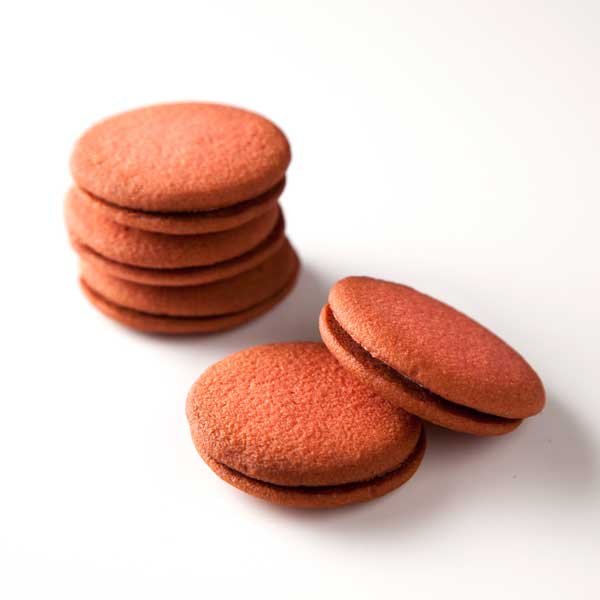 ��MAPLE HOUSE���󥰥ɥ���&�꡼�եѥ�