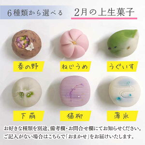 ≪菓匠まつ井≫金沢の和菓子 四季の上生菓子4個セット お好きな種類が選べます