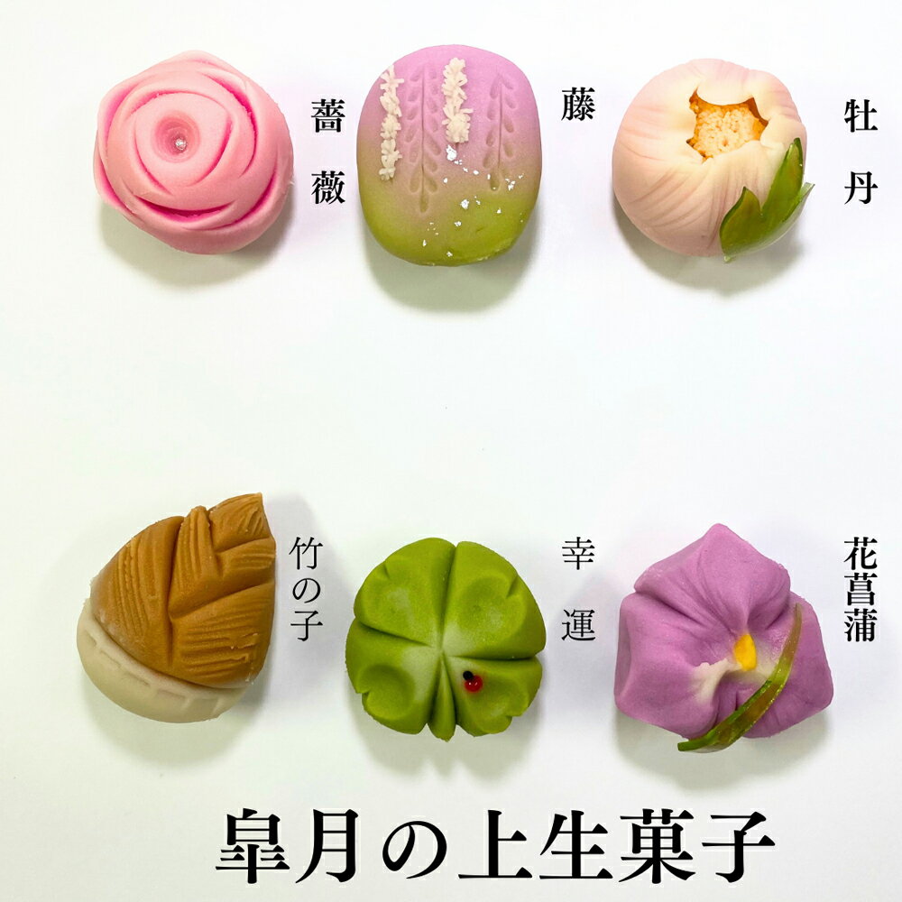 わかさいも本舗　北海道　あんぽてとショコラ　6個入　生菓子　チョコレート　さつまいも　お取り寄せ　お土産