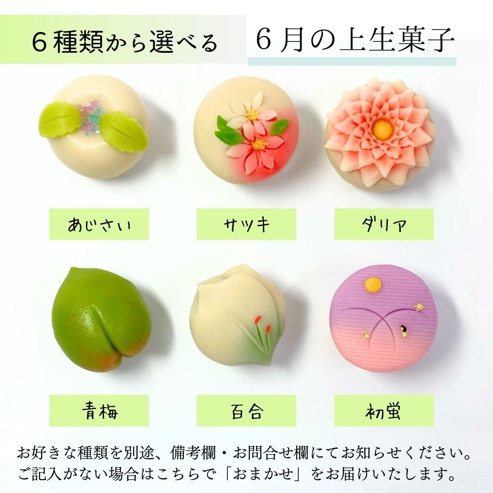 上生菓子 ≪菓匠まつ井≫金沢の和菓子 四季の上生菓子6個セット お好きな種類が選べます【石川県 金沢 老舗 練りきり 和スイーツ 冷凍 季節 おすすめ 通販 お取り寄せ ギフト 月替り 詰め合わせ キレイ 可愛い 美味しい 白あん】