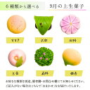 ≪菓匠まつ井≫金沢の和菓子 四季の上生菓子6個セット お好きな種類が選べます【石川県 金沢 老舗 練りきり 和スイーツ 冷凍 季節 おすすめ 通販 お取り寄せ ...