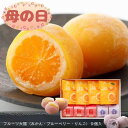 ≪和菓子処 中越≫フルーツ大福アソートセット 9個入（みかん りんご ブルーベリー） 【母の日 金沢 お土産 羽二重餅 白あん ギフト お取り寄せ】