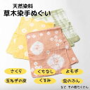 ≪ぽれぽれ工房山の家≫草木染め 手ぬぐい