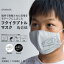 ≪松川レピヤン≫ORIMASK 恐竜マスク フクイラプトル 【送料無料 福井 越前織】 2,400円