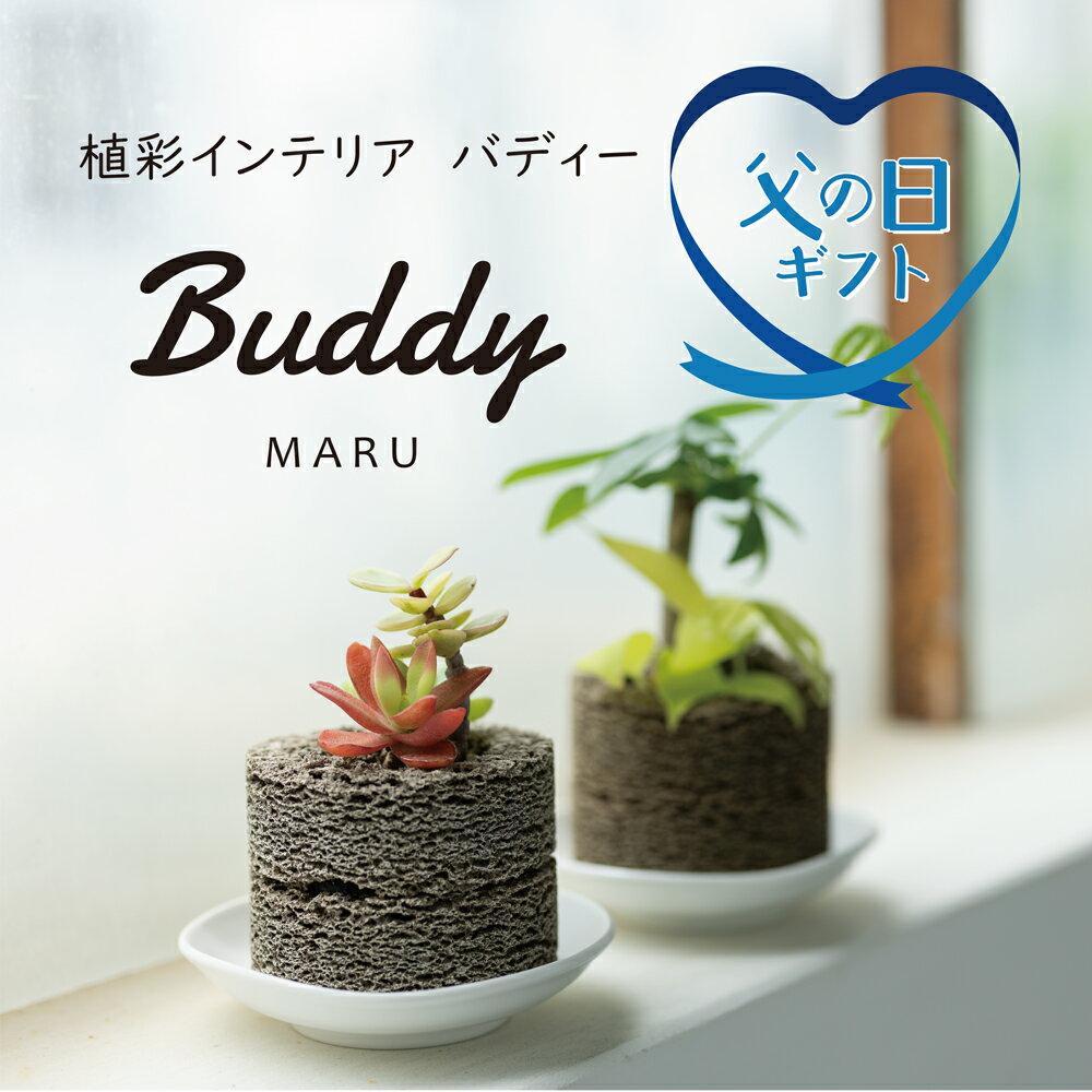 ≪トーケン≫Buddy MARU（マル） Sサイズ【観葉植物 多肉植物 ポット 植栽 食彩 インテリア 癒やし お手入れ簡単】