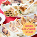 ≪夢工房≫夢ギョーザ 約80個入 送料無料【冷凍 餃子 ギョーザ 水餃子 冷凍食品 野菜たっぷり 手作り 人気 簡単 食品 惣菜 中華惣菜 点心 中華点心】