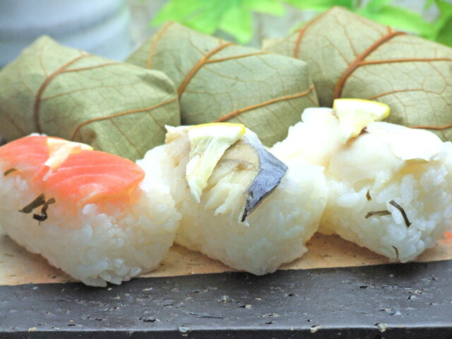柿の葉寿司 10個入(鮭4・鯖4・鯛2)【寿司/贈り物/ギフト/お土産/金沢/石川県/母の日/父の日/敬老の日/お中元/お歳暮/プレゼント/のし可/金沢伝統/金沢寿司】【みやこや】
