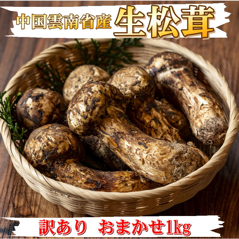 訳あり松茸｜香りが最高！お得にお取り寄せできる家庭用松茸の通販