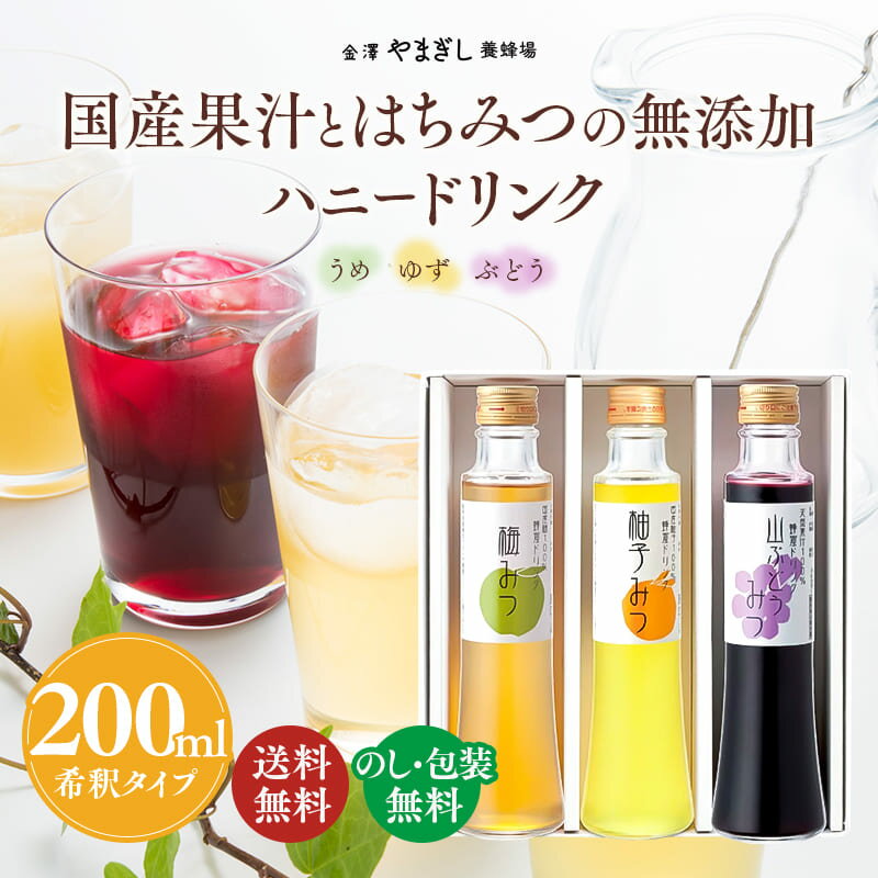 はちみつ ギフト ギフトセット 定番ギフト プレゼント 内祝 金沢 健康 無添加 送料無料 (お年賀 内祝 結婚 引き出物 ブライダル お年賀 ヒカキン 詰合せ 蜂蜜 ハチミツ 梅 ぶどう 柚子 ゆず )