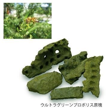 プロポリス粒・アルテピリンC 37g 約150粒(ギフト プレゼント 内祝い お祝い 健康食品 サプリ 免疫 アレルギー 花粉症 口内炎 マヌカハニー ブラジル産 グリーンプロポリス アトピー)
