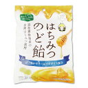 ローヤルゼリー プロポリス 【はちみつのど飴 90g】ハチミツ 食べ物 実用的 食品 お取り寄せ 高級 健康 30代 40代 50代 60代 70代 80代 90代