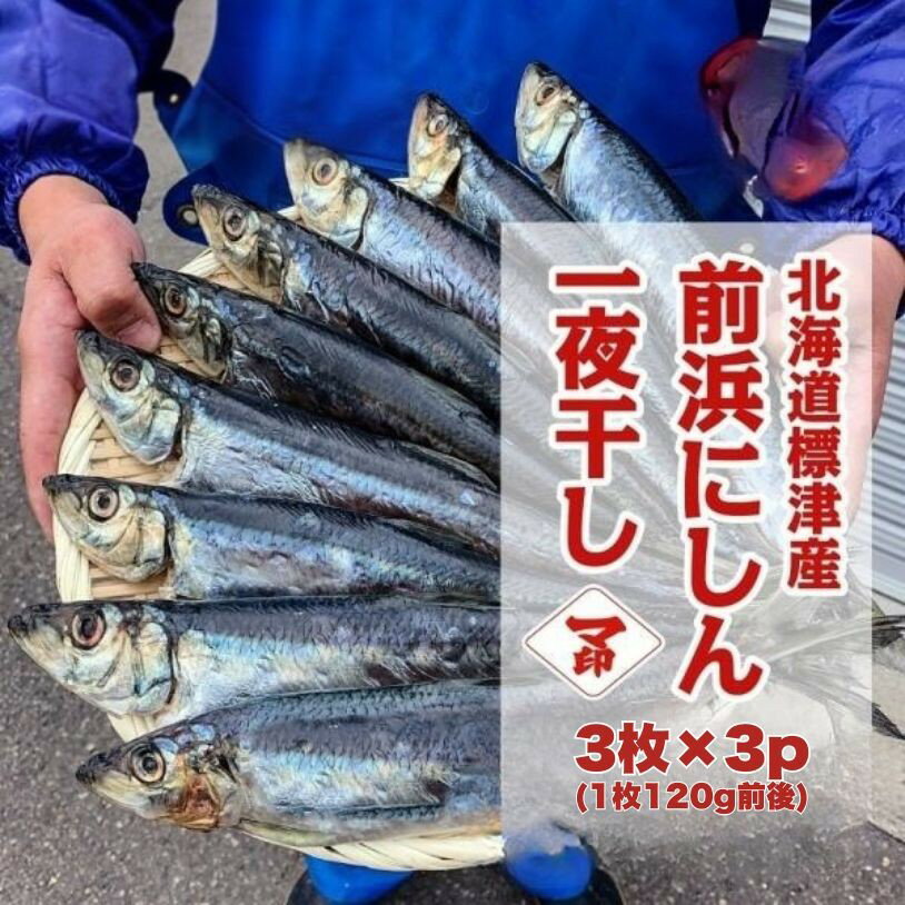 前浜にしん一夜干し　3枚×3p　北海道標津　マ印　金沢まいもん寿司バイヤー厳選！【送料無料】【新商品】