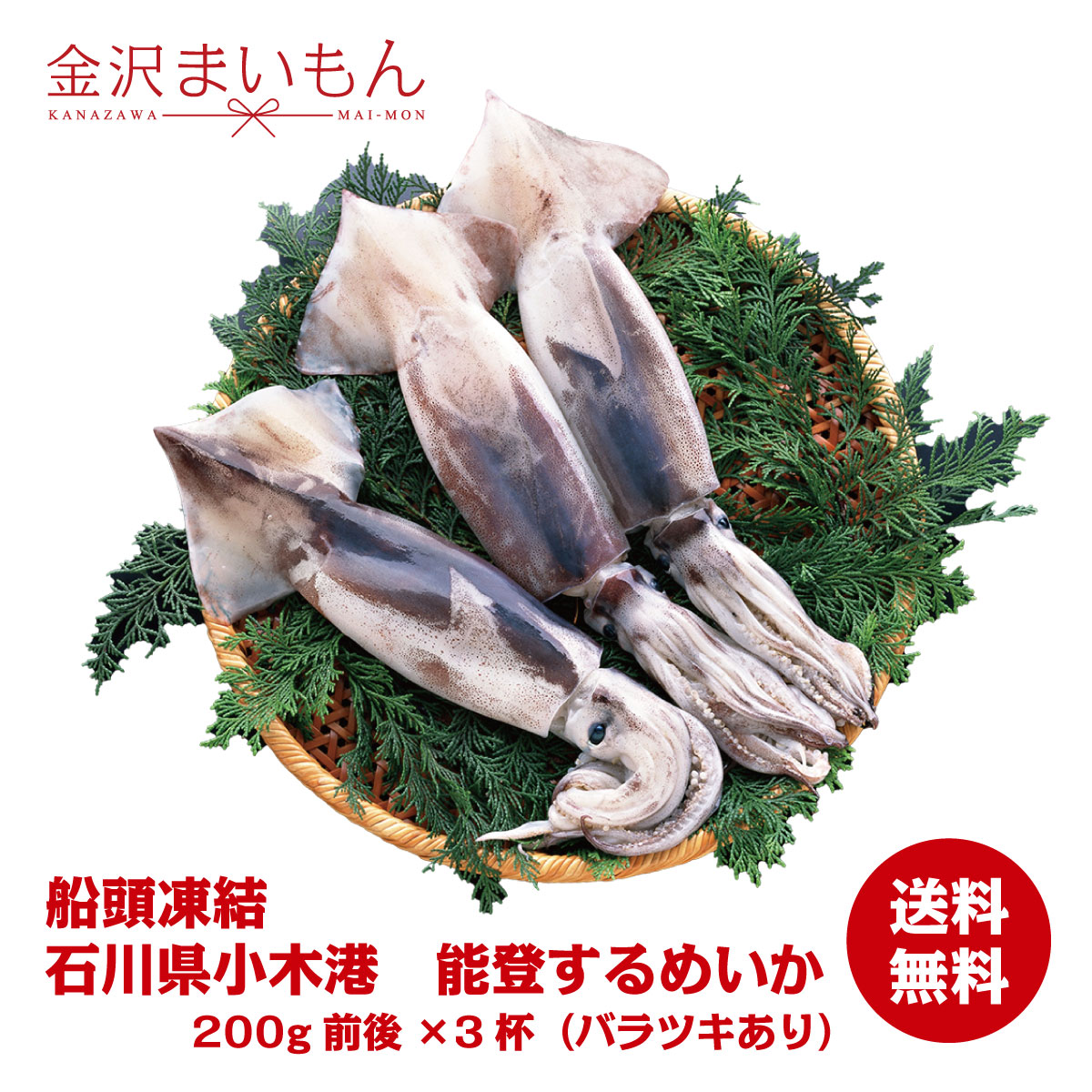 【鮮度抜群】お刺身可　能登するめいか！約600g（約180～200g前後×3）石川県能登産クール便送料無料1,980円！サイズにばらつきあり スルメイカ　真いか お刺身煮物簡単調理【大特価セール】【YouTube】 1