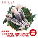 【鮮度抜群】お刺身可 能登するめいか 約600g 約180～200g前後 3 石川県能登産クール便送料無料1 980円 サイズにばらつきあり スルメイカ 真いか お刺身煮物簡単調理【大特価セール】【YouTube…