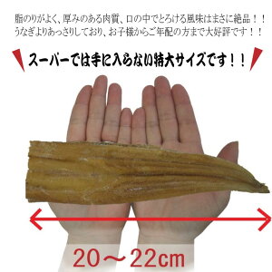 【送料無料】生食用天使の海老高級料亭刺身用ニューカレドニア産養殖世界最高グレード1kg約30尾前後入り