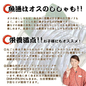 【最大1,000円OFF早割クーポン配布中】ホタルイカホタルイカ沖漬け沖漬けほたるいかモンドセレクション金賞受賞日本海漁獲樽仕込み富山名物要冷蔵220g