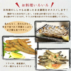 【最大1,000円OFF早割クーポン配布中】ホタルイカホタルイカ沖漬け沖漬けほたるいかモンドセレクション金賞受賞日本海漁獲樽仕込み富山名物要冷蔵220g