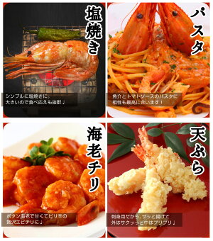 【送料無料】金沢まいもん寿司が厳選!特大3L子持ち本ボタンエビ1kg(1パック)15尾〜17尾前後船内急速冷凍で鮮度抜群!ボタンエビ牡丹海老ぼたんえびお刺身・お寿司・素揚げ・味噌汁あす楽対応