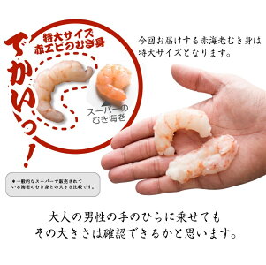 【生食可】送料無料むきエビ【2個買って寿司屋のネギトロ300gおまけ付き】生食可能!赤海老むき身1kg海老ムキエビむきえびむきエビ海老えびエビ赤海老むき身あす楽対応【金沢まいもん寿司】