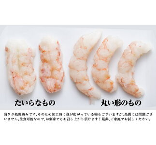 【生食可】送料無料むきエビ【2個買って寿司屋のネギトロ300gおまけ付き】生食可能!赤海老むき身1kg海老ムキエビむきえびむきエビ海老えびエビ赤海老むき身あす楽対応【金沢まいもん寿司】