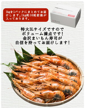 【送料無料】金沢まいもん寿司が厳選!特大3L子持ち本ボタンエビ1kg(1パック)15尾〜17尾前後船内急速冷凍で鮮度抜群!ボタンエビ牡丹海老ぼたんえびお刺身・お寿司・素揚げ・味噌汁あす楽対応