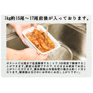 【送料無料】金沢まいもん寿司が厳選!特大3L子持ち本ボタンエビ1kg(1パック)15尾〜17尾前後船内急速冷凍で鮮度抜群!ボタンエビ牡丹海老ぼたんえびお刺身・お寿司・素揚げ・味噌汁あす楽対応