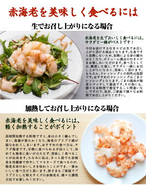 【生食可】送料無料むきエビ【2個買って寿司屋のネギトロ300gおまけ付き】生食可能!赤海老むき身1kg海老ムキエビむきえびむきエビ海老えびエビ赤海老むき身あす楽対応【金沢まいもん寿司】