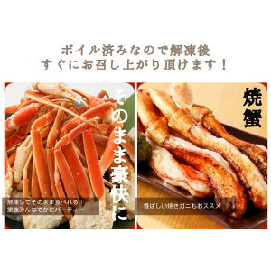 【送料無料】寿司屋が厳選した特大ズワイガニ足2Lサイズ!3kg10肩前後3人〜6人前!3kgが家族でちょうどいい!カニかに蟹蟹足蟹脚ずわいがにズワイガニ鍋お歳暮御歳暮ギフト贈答