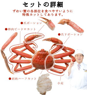 送料無料カット済生ずわい蟹1.4kg(解凍後1.2kg)化粧箱入り3人〜5人前カニかに蟹カニしゃぶかにしゃぶ鍋お歳暮焼かに・かに鍋・てんぷらギフトお中元お歳暮プレゼント【ビードロカット】【あす楽対応】