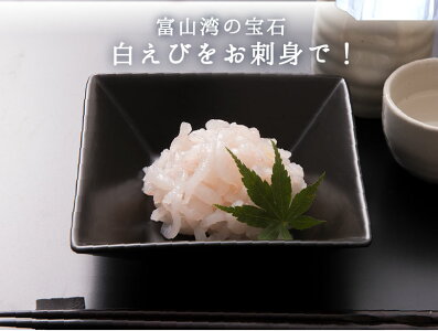 【送料無料】海老白えび生食用富山湾産富山県の宝石と称される白エビ高鮮度90g