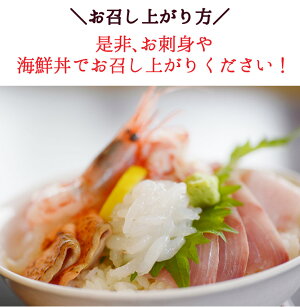 【送料無料】海老白えび生食用富山湾産富山県の宝石と称される白エビ高鮮度90g
