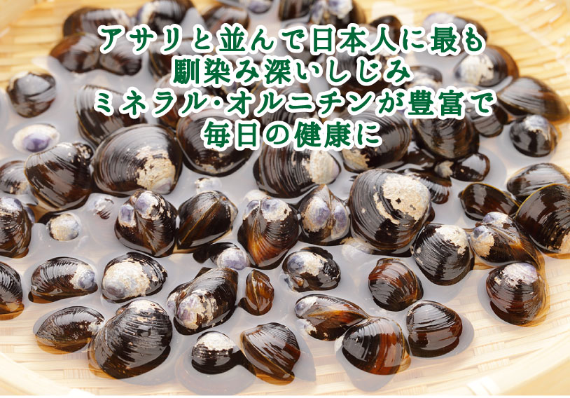 しじみ シジミ 蜆 十三湖産 200g×5パック　合計1kg 冷凍配送 金沢まいもん寿司が厳...