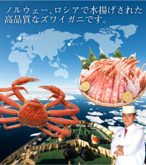 【送料無料】寿司屋厳選!カット済み生ずわいカニ1kg2人〜3人前!料亭仕込みの【上すきカット】かに鍋・焼き蟹・てんぷらにもカニかに蟹蟹足蟹脚ずわいがにズワイガニ鍋お歳暮御歳暮ギフト