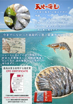 お刺身OK! エビ 海老 天使の海老 生食用 天使の海老 高級料亭刺身用 ニューカレドニア産 養殖 世界最高グレード 1kg 約30尾前後入り