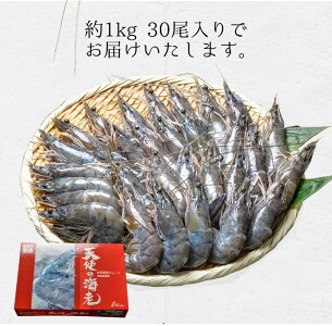 【送料無料】生食用天使の海老高級料亭刺身用ニューカレドニア産養殖世界最高グレード1kg約30尾前後入り