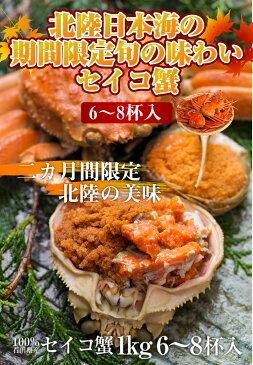 セイコ蟹 100％石川県産 6〜8杯入り セコカニ 加能かに 甲箱カニ 香箱かに 甲箱ガニ 香箱がに ご予約 受付中 送料無料 セイコガニ 甲箱蟹 香箱蟹 せいこがに セコ蟹 セコガニ