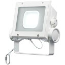 dC LED fBIbNtbhlI F^Cv Lp^Cv 40NX 5000K {̐FzCg ECF4040SW/NSAN8/W