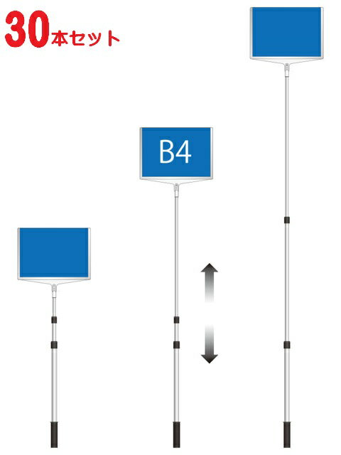 30ĥåȡ۷  ؼ ץ饫ɴ  B4-ξ