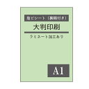 完全データ入稿 ポスター印刷 インクジェット印刷 ラミネート 塩ビシート 出力 A1 大判印刷 屋外 看板 ポスター 裏のり付き