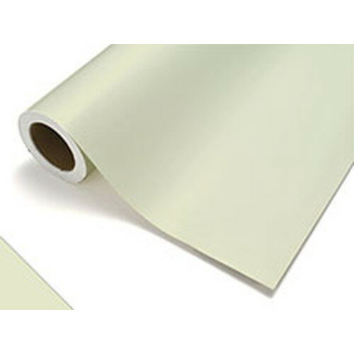 【カッティングシート】【中川ケミカル】 レギュラー 481/サトルグリーン 450mm×12m