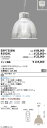 【遠藤照明】【endo照明】 高天井用照明 ERP7358W+RS929C+FX300NA テクニカルペンダントライト