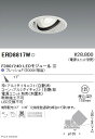 【遠藤照明】【endo照明】 什器/生鮮食品用照明 ユニバーサルダウンライト FreshDeli F300/240 中角配光17° フレッシュF(5000K相当...