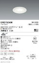 【遠藤照明】【endo照明】 什器/生鮮食品用照明 薄型ミニダウンライト 300TYPE ERD7534W