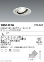 【遠藤照明】【endo照明】 什器/生鮮食品用照明 FreshDeliシリーズ ユニバーサルダウンライト 中角配光(17°) F300/F240