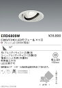 【遠藤照明】【endo照明】 什器/生鮮食品用照明 FreshDeliシリーズ ユニバーサルダウンライト 広角配光 F300/F240