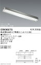  アウトドアライト 軒下用ベースライト 170シリーズ 40Wタイプ 本体 直付 ステンレス製反射笠付形 2灯用 ERK9027S ※ユニット別売