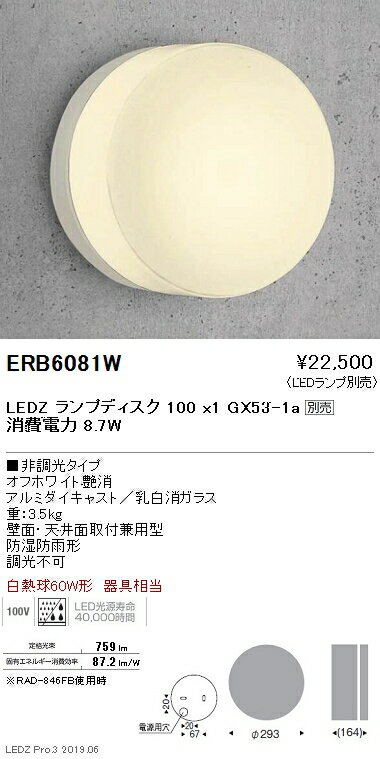 ڱƣۡendo ȥɥ饤 ֥饱å   Disk100 ERB6081W 