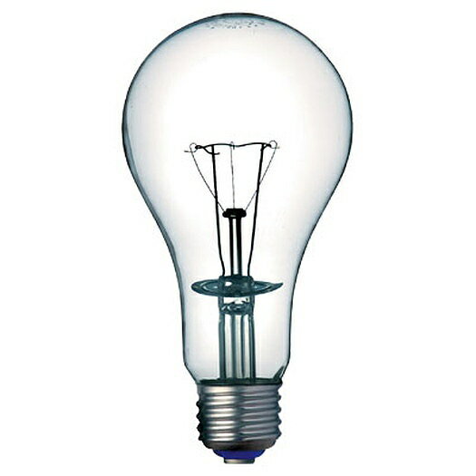 岩崎電気 BB220V300W 防爆形照明器具用白熱電球 300W HIDランプ | 看板照明 サイン照明 led投光器 ledスポットライト 看板led 投光器屋外 屋外照明 ledライト led照明 led電球