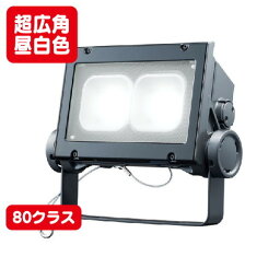 【LED投光器】【レディオック フラッド ネオ】 ECF8040SW/NSAN8/DG 【80クラス】【超広角】【昼白色】